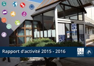 rapport-dactivite-2016