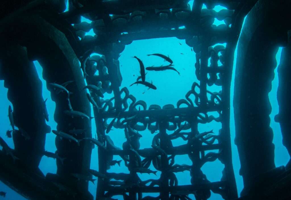 Prise sous-marine en septembre 2022 du module principal du Récif'lab, un complexe de récifs artificiels imprimés en béton 3D, immergés à Agde. Crédits : E. Chéré - AMP côte agathoise